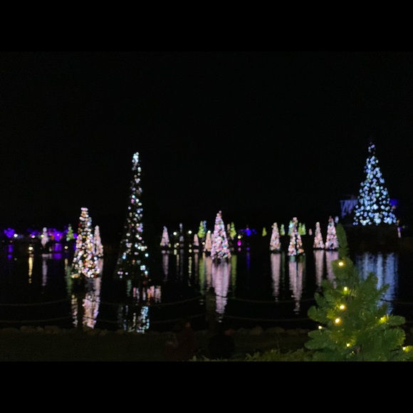 Meet your Posher, Zully - Picture 1 of 1